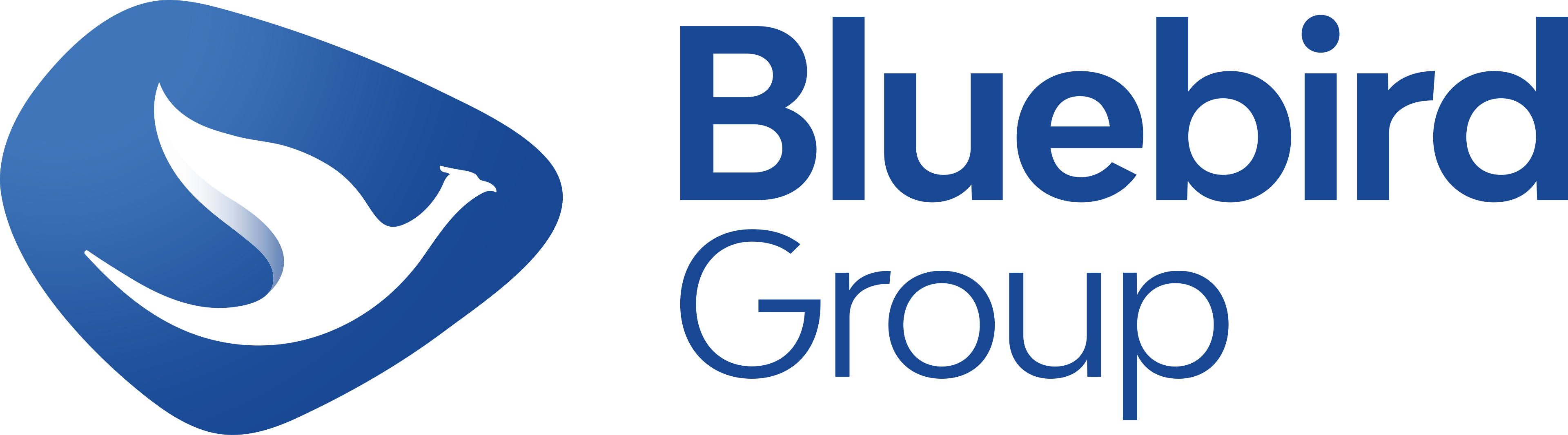 Bluebird Group