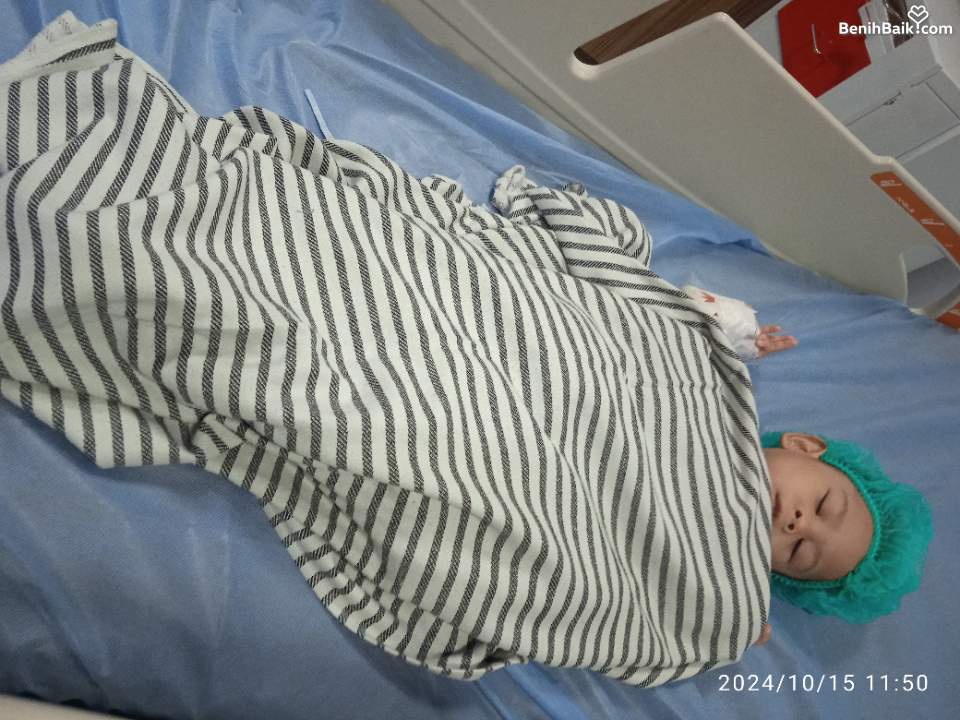 Benihbaik2025-02-07173893682767a611fb50750.jpeg