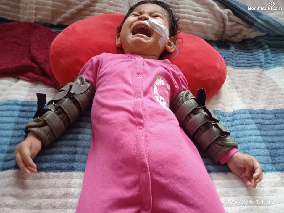 Benihbaik2025-02-07173893801667a616a08f88c.jpeg