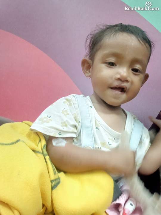 Benihbaik2025-06-131749823137684c2ea1408cd.jpeg