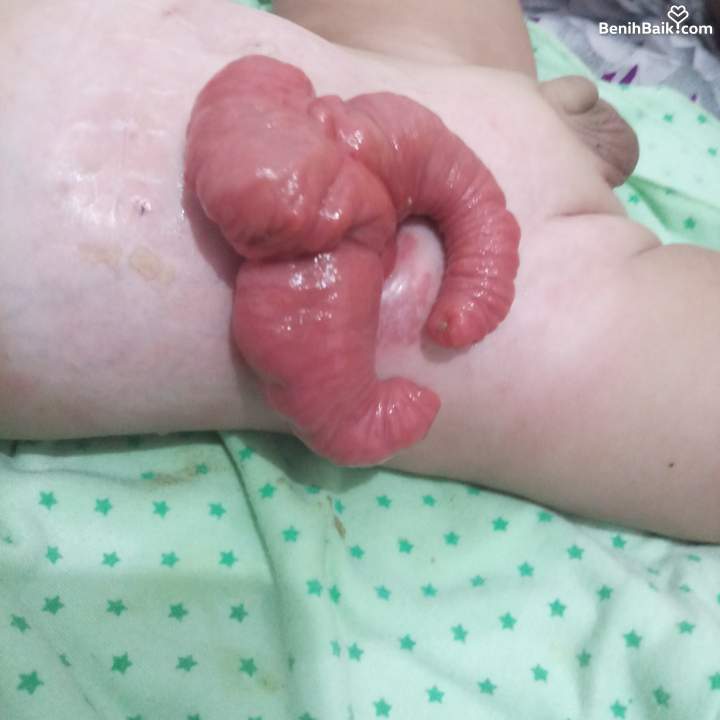 Benihbaik2025-06-141749919380684da6948c456.jpeg