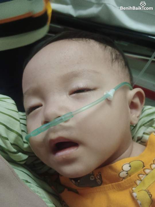 Benihbaik2025-07-071751899827686bdeb313e36.jpeg