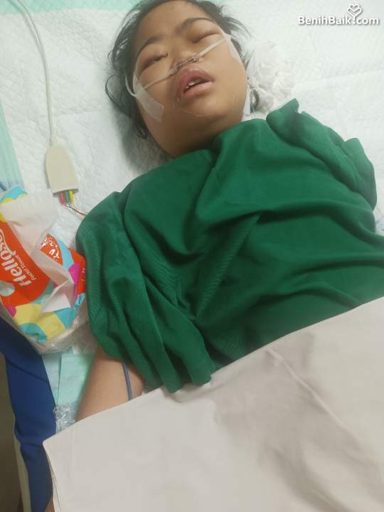 Benihbaik2026-04-13177607783369dccc0925aab.jpeg