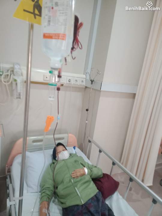 Benihbaik2026-05-1817790734716a0a81bfec60a.jpeg