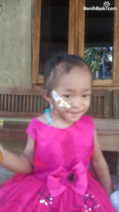 Benihbaik2026-06-1217812478506a2baf6a6ee12.jpeg