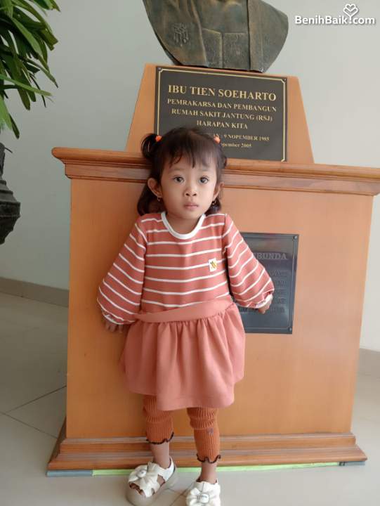 Benihbaik2026-06-1717816877226a3265aa7c888.jpeg