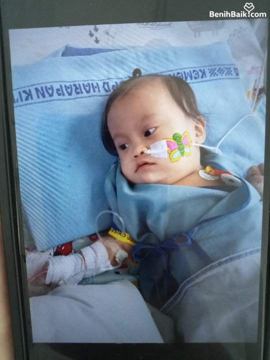 Benihbaik2026-06-1917818527206a34ea3038881.jpeg
