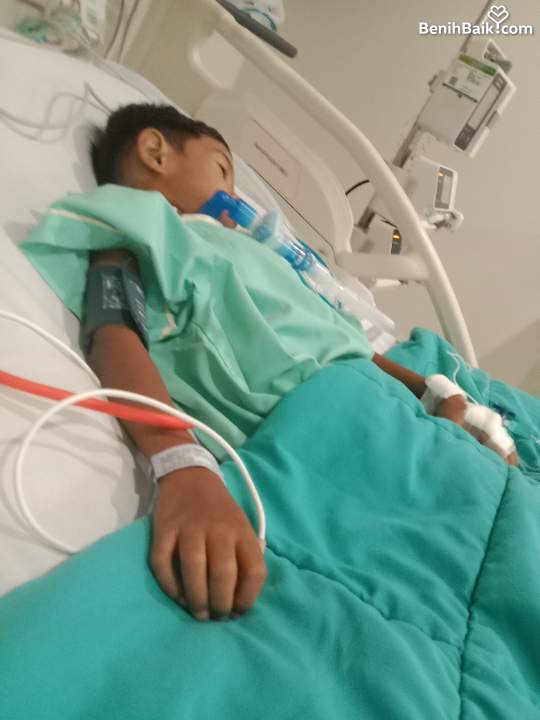 Benihbaik2026-06-2317821905166a3a11b4321cf.jpeg