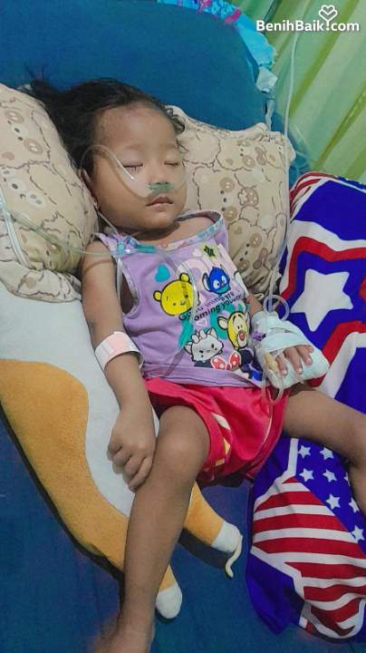 Benihbaik2026-07-0117829227346a453dee44574.jpeg