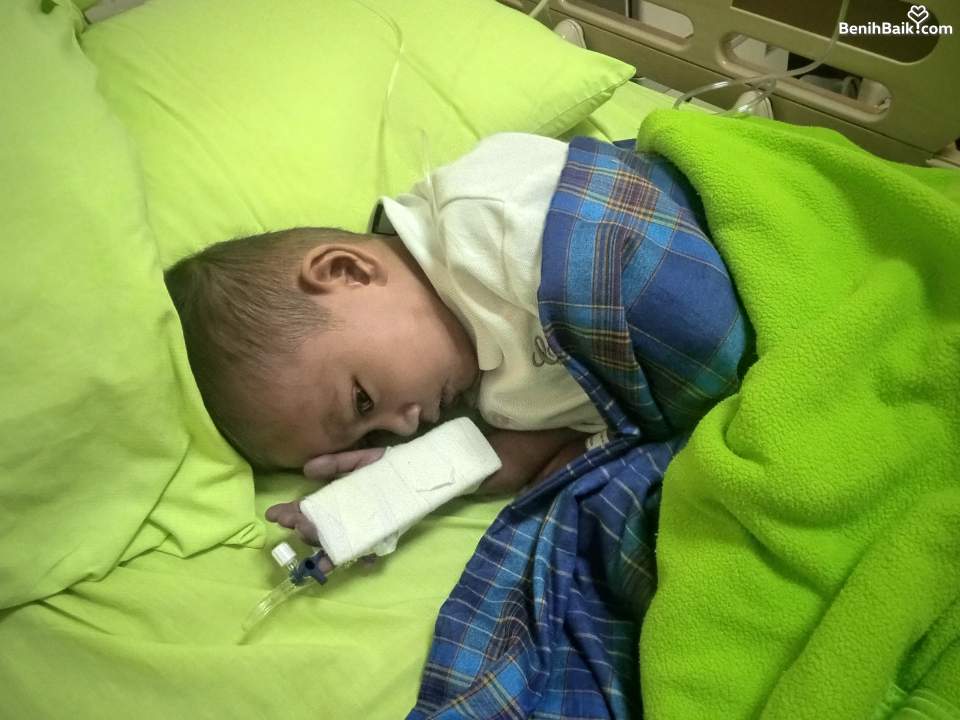 Benihbaik2026-07-0317830545086a4740ac607eb.jpeg