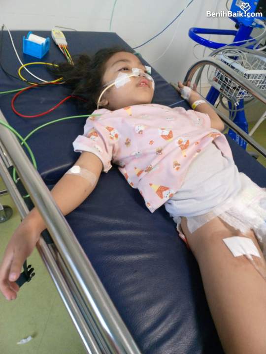 Benihbaik2026-07-1517841109206a575f4854319.jpeg