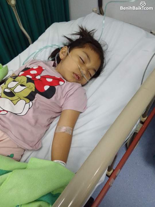 Benihbaik2026-07-1517841111066a576002b8194.jpeg