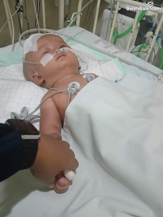 Benihbaik2026-07-1517841115966a5761ecdc7ba.jpeg
