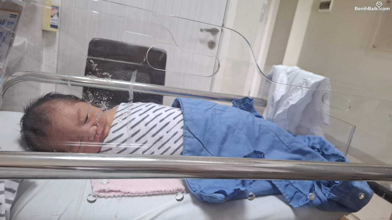 Benihbaik2026-07-1717842560156a59960fc2628.jpeg