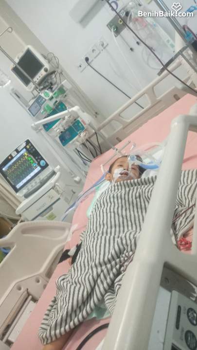 Benihbaik2026-07-2517849632016a646081807a9.jpeg