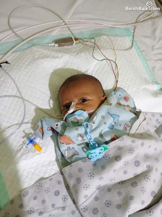Benihbaik2026-07-2817852180286a6843ecf03c0.jpeg