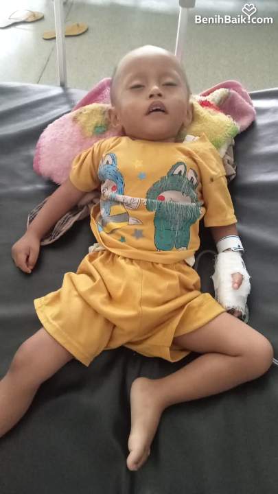 Benihbaik2026-08-0817862000076a773fc7658d2.jpeg