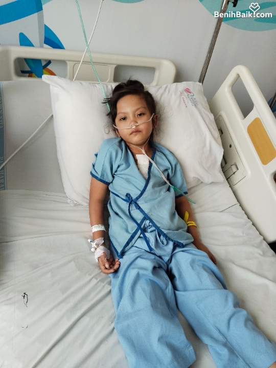 Benihbaik2026-08-1517867982146a8060863aa51.jpeg