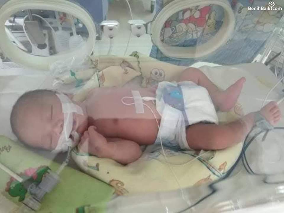 Benihbaik2026-08-1517867992226a80647677d63.jpeg