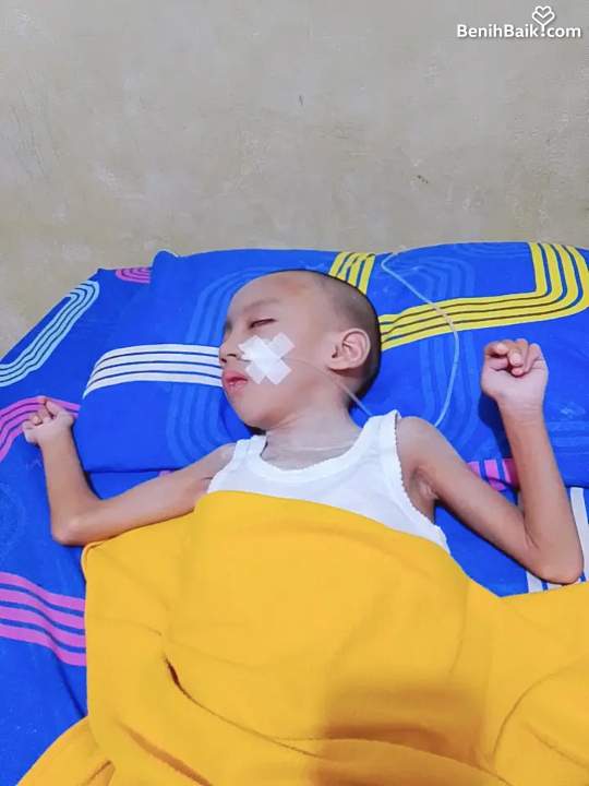Benihbaik2026-08-1517867995176a80659d83fa7.jpeg