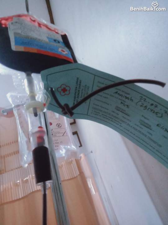 Benihbaik2026-09-0117882745096a96e74de59ab.jpeg