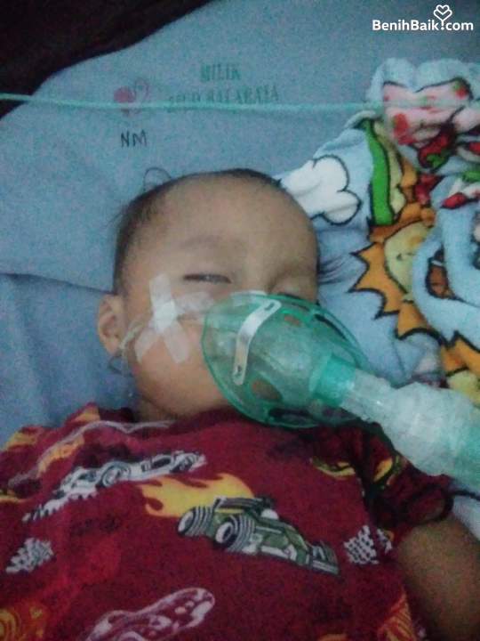 Benihbaik2026-09-1217892207176aa5576d6f015.jpeg