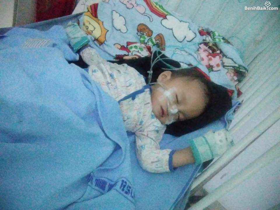 Benihbaik2026-09-1217892207696aa557a11cef0.jpeg