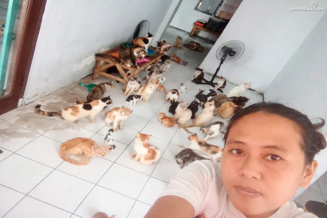 Benihbaik2026-09-2817905606836ab9c9ab740cc.jpeg