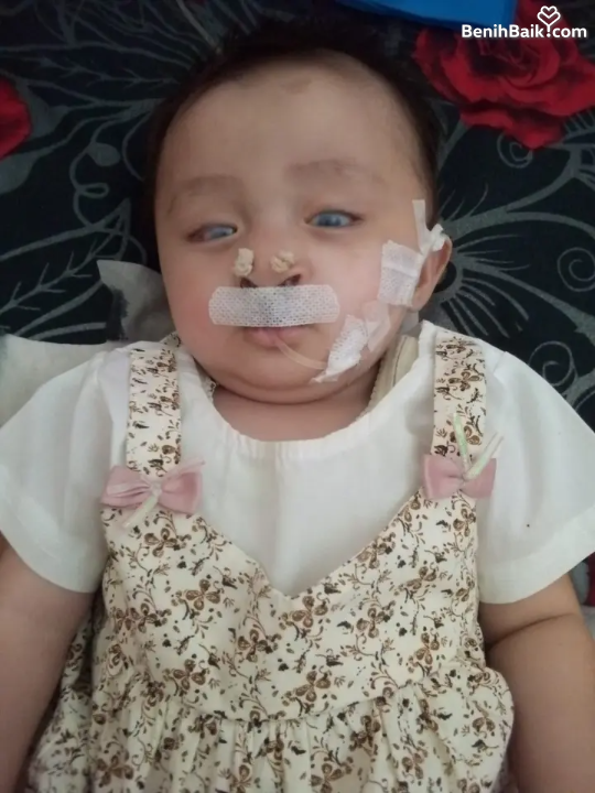 Benihbaik2026-10-1317918819626acdf2eaab382.png