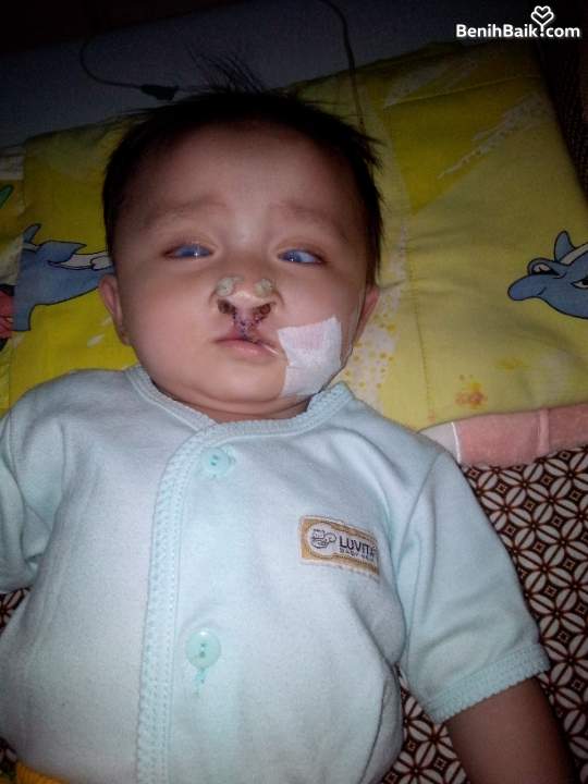 Benihbaik2026-10-1317918820146acdf31e5e0b6.jpeg