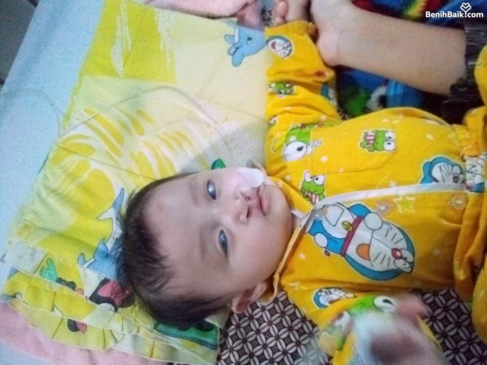 Benihbaik2026-10-1317918820666acdf3521107f.jpeg