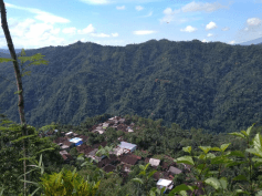 benihbaik_2020-09-19_485fd538380206516002078fe000ce682a154ea1_png