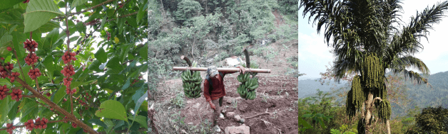 benihbaik_2020-09-19_942f8179d3c510084493e841809260cb29346293_png