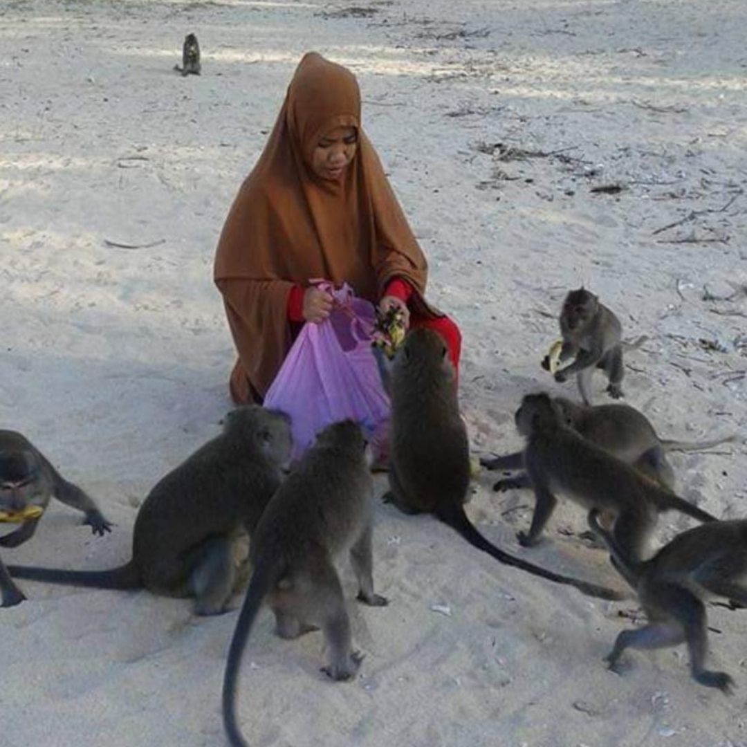 benihbaik_2020-10-02_0d409e1dff7edcd3486886642fb61135e6075e5b_jpeg