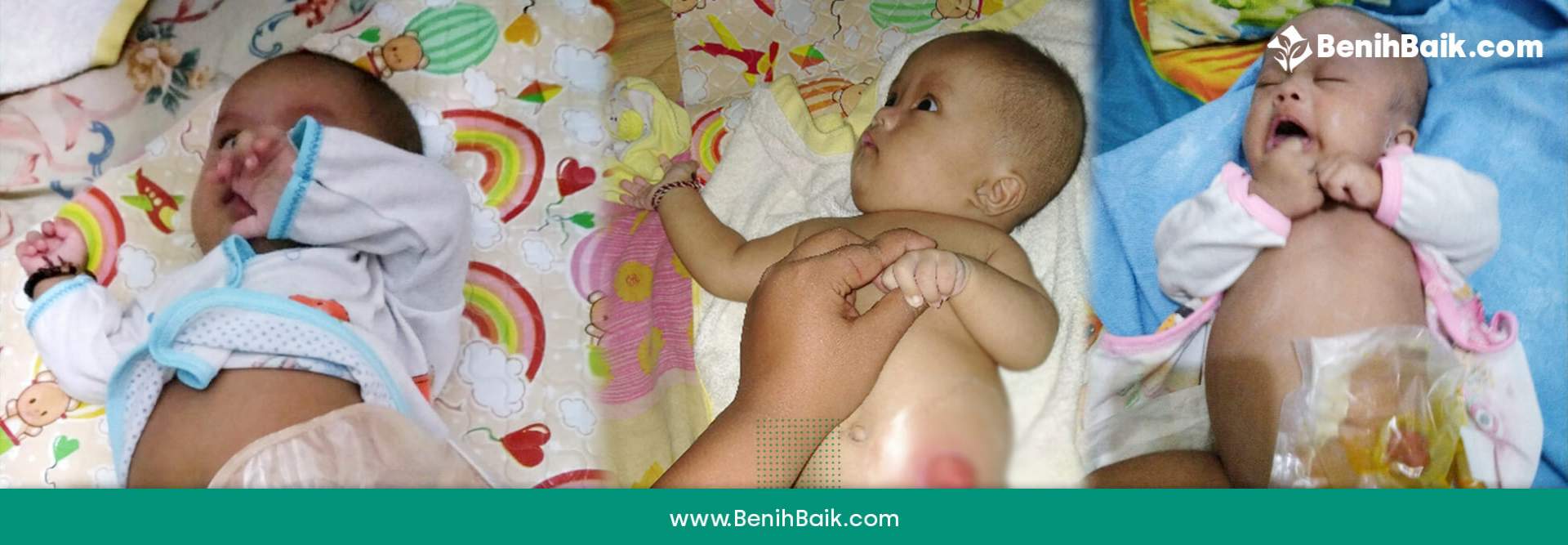 benihbaik_2020-10-02_0d86c35d52587d49f1f663493d5ad15a4f915123_jpeg