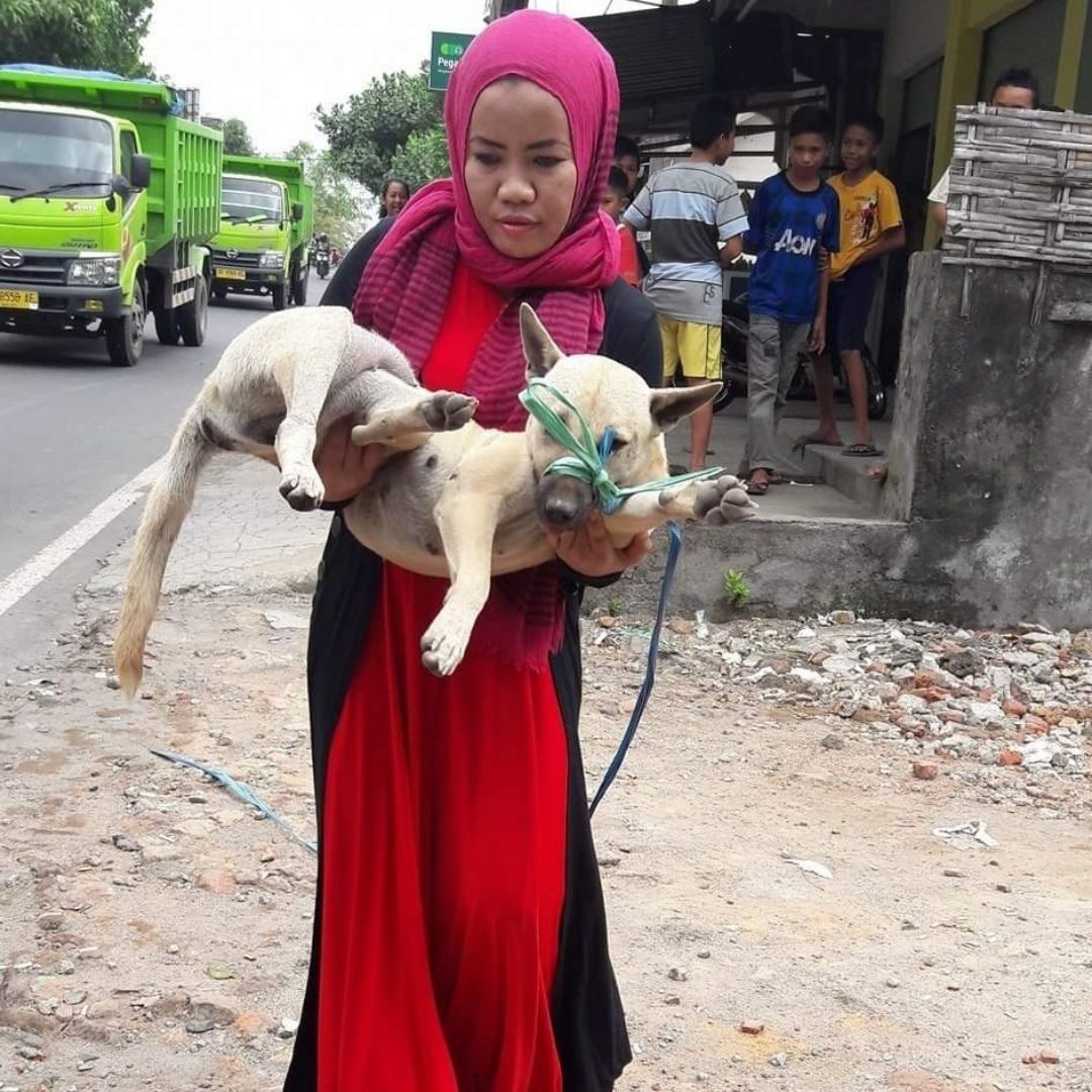 benihbaik_2020-10-02_61bc2b3ca66de0d685358029484c817b831d0101_jpeg