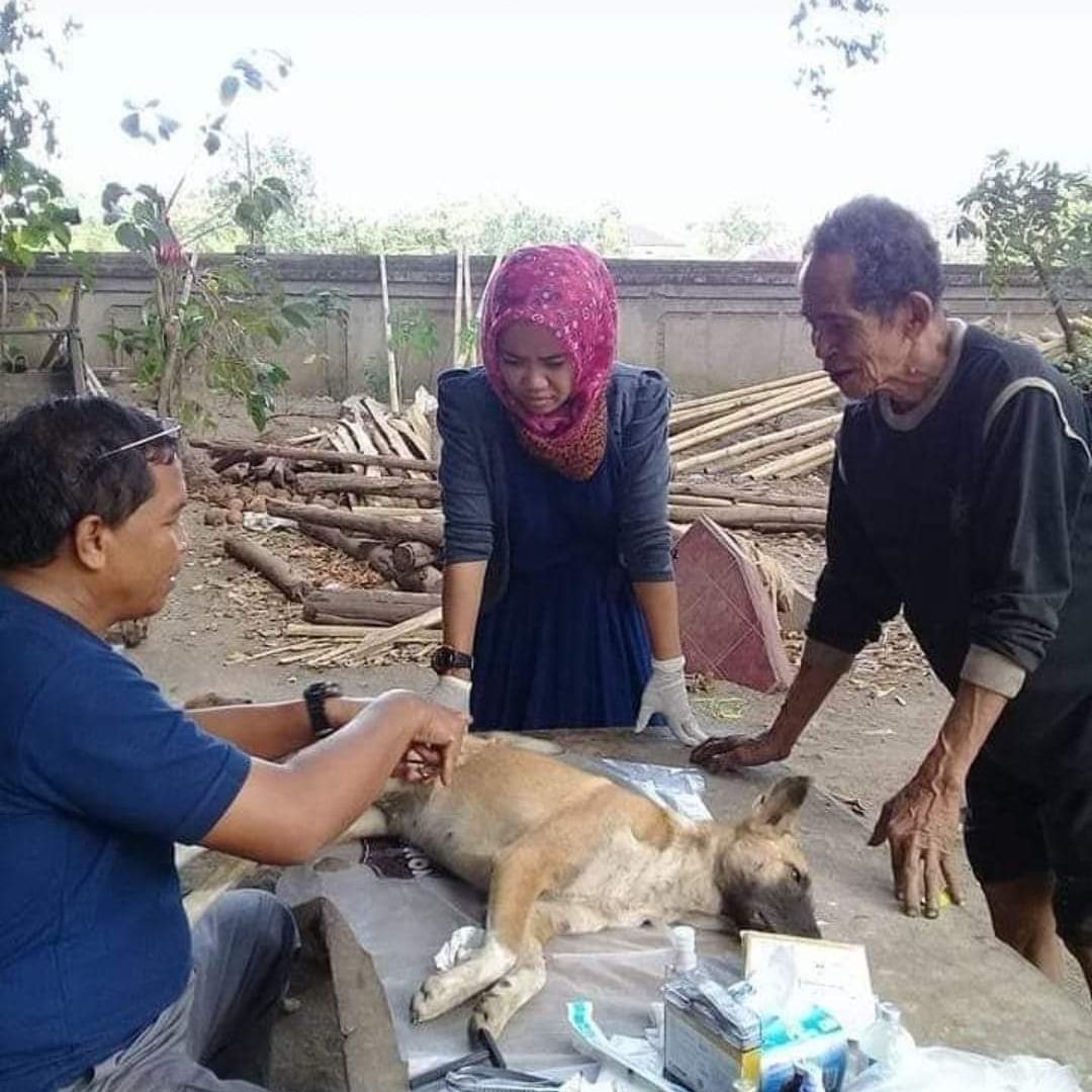 benihbaik_2020-10-02_842ae8b7367cfc17abe21fcf6d935e430c2b1a8c_jpeg