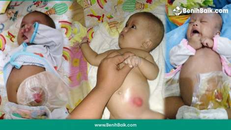 benihbaik_2020-10-02_c7bf20c65e677df70dda5e13457e70caaf786cbe_jpeg