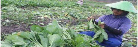 benihbaik_2020-10-14_ad8bc6e9e0d5fef664ff9dd5526bddb274a32d0e_png