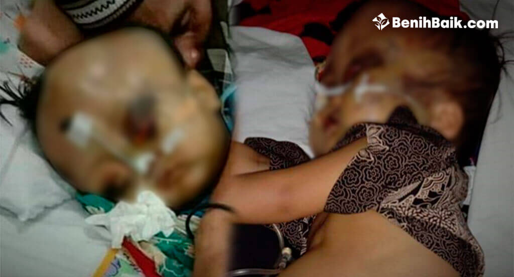 benihbaik_2020-10-16_602572f9d44e6ec1e7a2d95399f75a6c4ac54499_jpeg