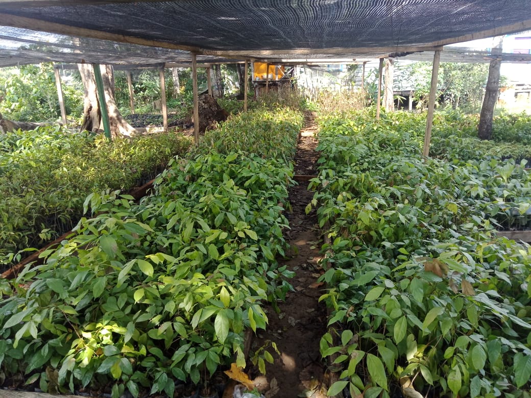 benihbaik_2020-10-20_cc1c76e5c66ba0c43bfb1b125676b26625f3611f_jpeg