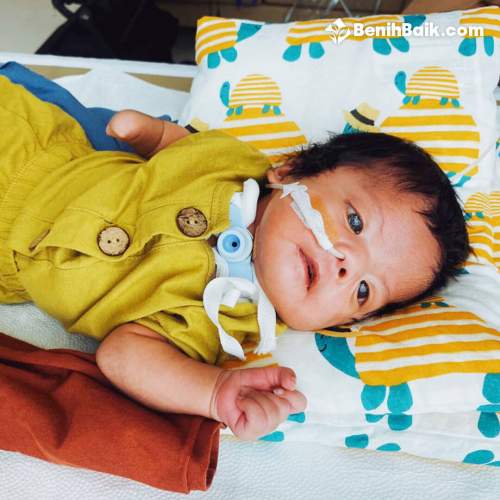 benihbaik_2020-11-03_591d6f422c9dac14ba03ae275414ef513b1ab0a3_jpeg