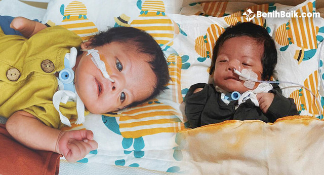 benihbaik_2020-11-03_5c734395dd0eedfc864b33ee641da1a3e7a7b190_jpeg