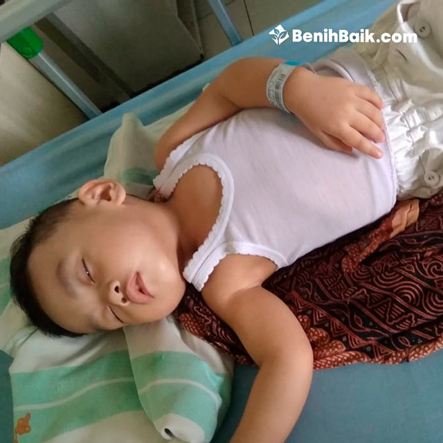 benihbaik_2020-11-03_95a6ace834a7403343d280db362a6b9f52d6a53a_jpeg