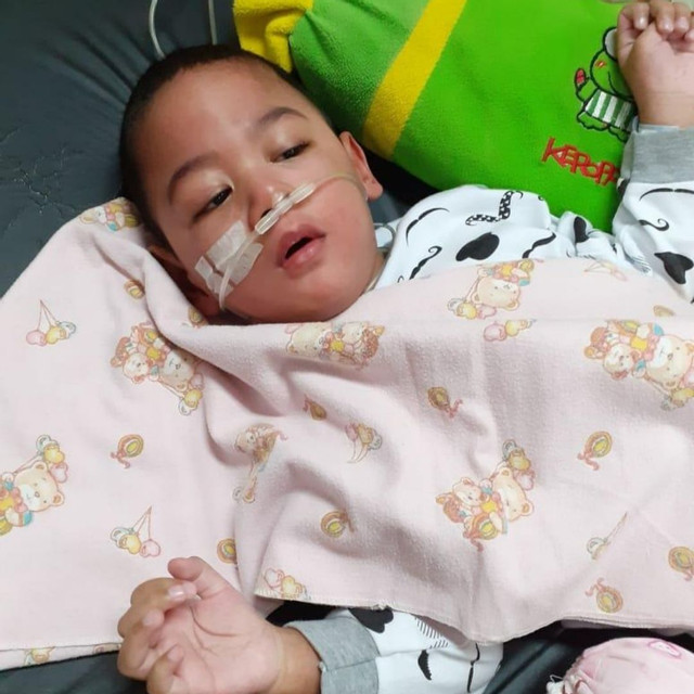 benihbaik_2020-11-03_a5255992f79adbb1aee925aedb3f9886a566d6d4_jpeg