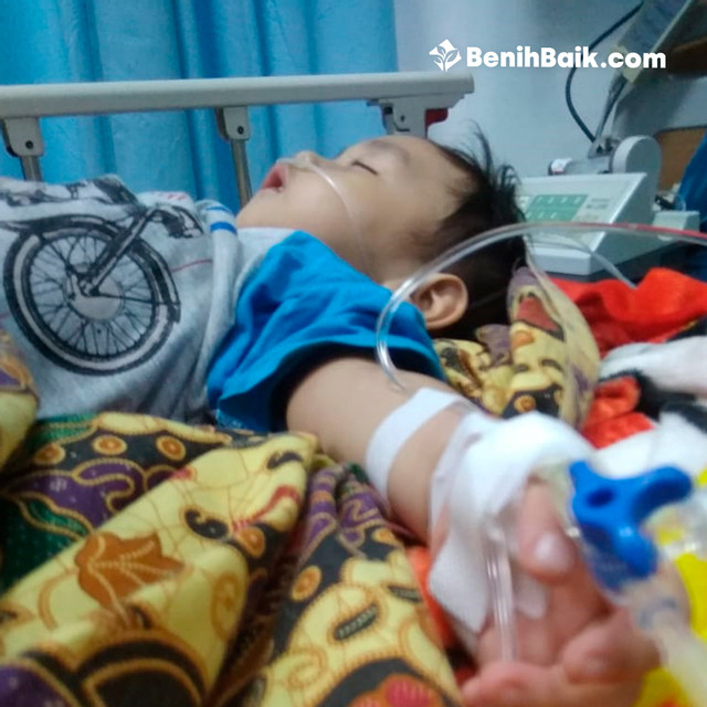 benihbaik_2020-11-03_f75e3e86ec7ae3a2450dcabb1c1ab24462bd85c8_jpeg