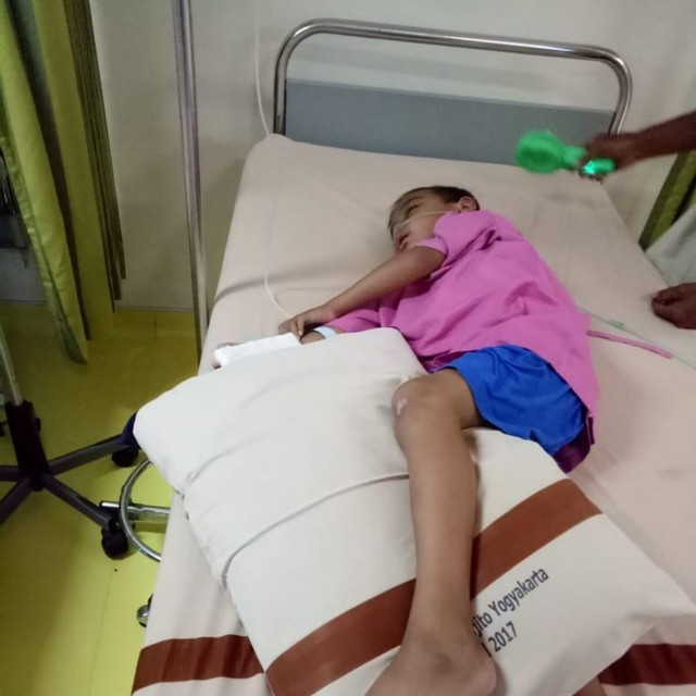 benihbaik_2020-11-10_6e6aa551827c488de2cfb465060ede15cd4ccece_jpeg