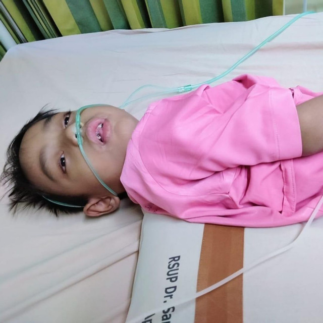 benihbaik_2020-11-10_c44fe74466d72e5261f29fbd11a303c4f626f9b8_jpeg