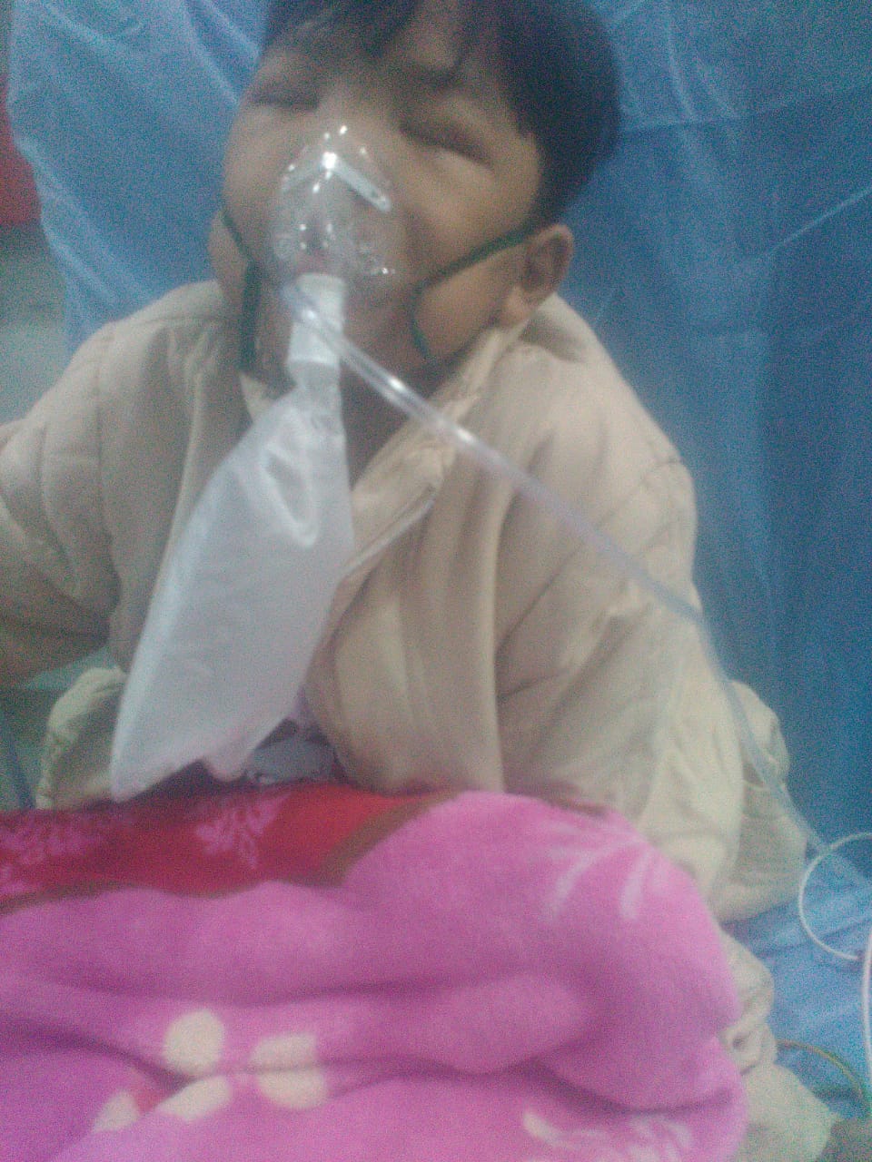 benihbaik_2020-11-13_83b65f4add14a9cd399981d72751d1955997fcd6_jpeg