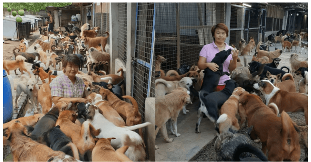 benihbaik_2020-11-17_3c70a87ea8510ca54c96ec10ec8bc4cf80224bc0_png